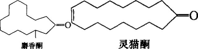香水的香氣從何而來(lái)？