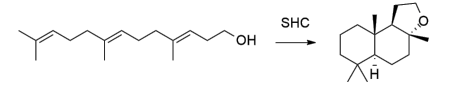 生物合成香料的化學(xué)組成、可持續(xù)性和天然性