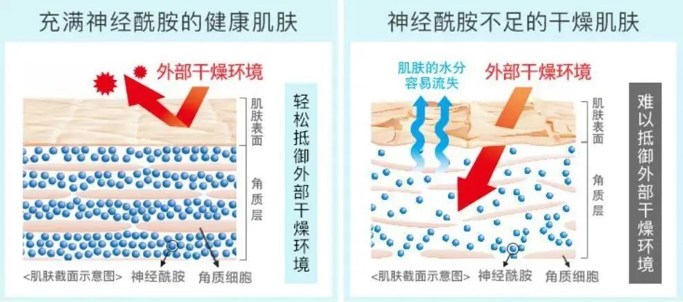 2022年護(hù)膚熱門功效成分有哪些？
