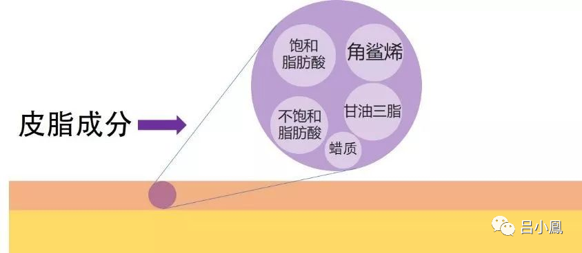 2022年護(hù)膚熱門功效成分有哪些？