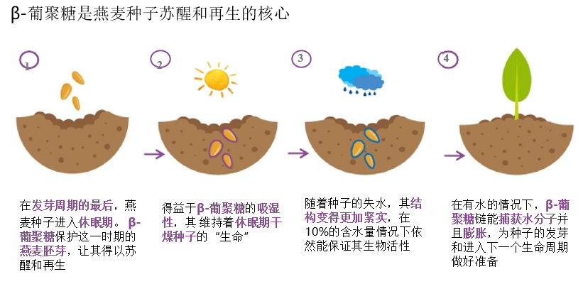 2022年護(hù)膚熱門功效成分有哪些？