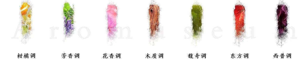 為什么有人一身果香，有人卻一身藿香？